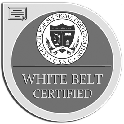 Lean Six Sigma White Belt E-Learning