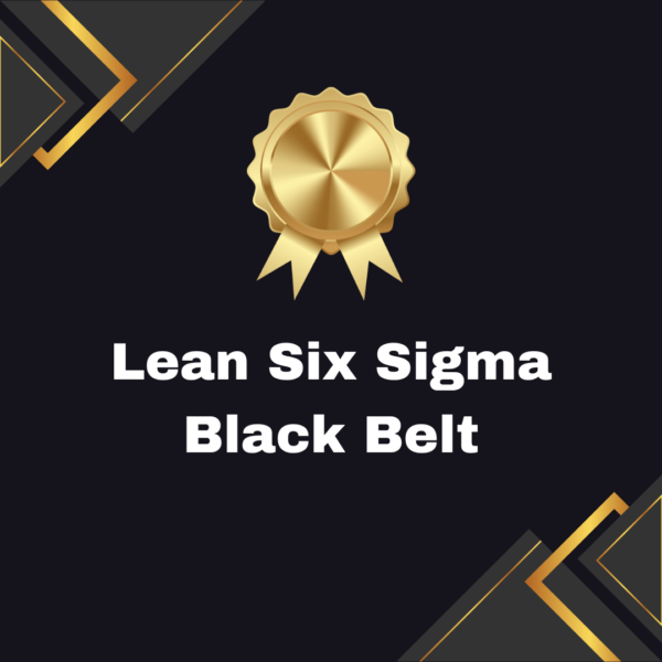 Lean Six Sigma Black Belt E-Learning