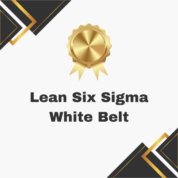 Lean Six Sigma White Belt E-Learning