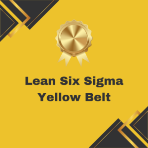 Lean Six Sigma Yellow Belt E-Learning